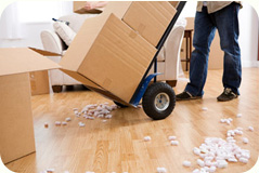 removalseucom