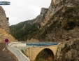 removalseurope001