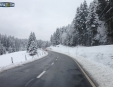 removalseurope019